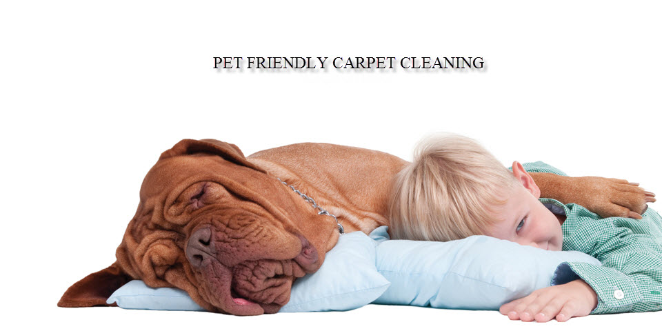 pet friendly cleaning